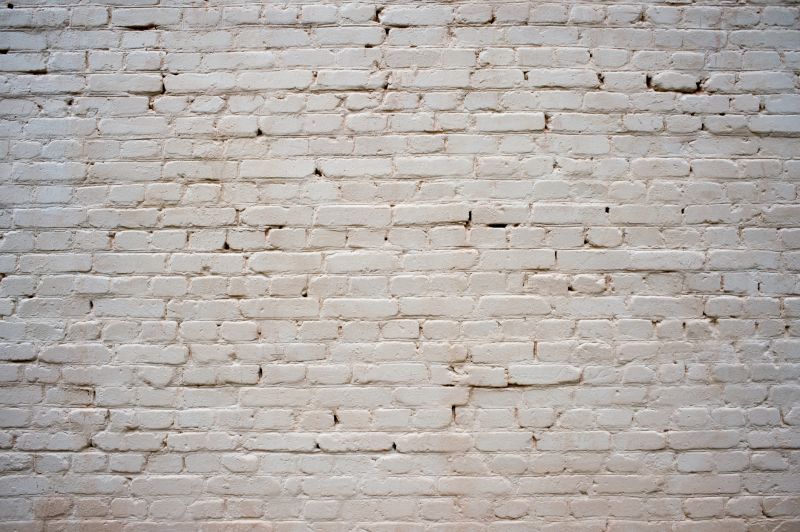 House Limewashing in Longmont, CO